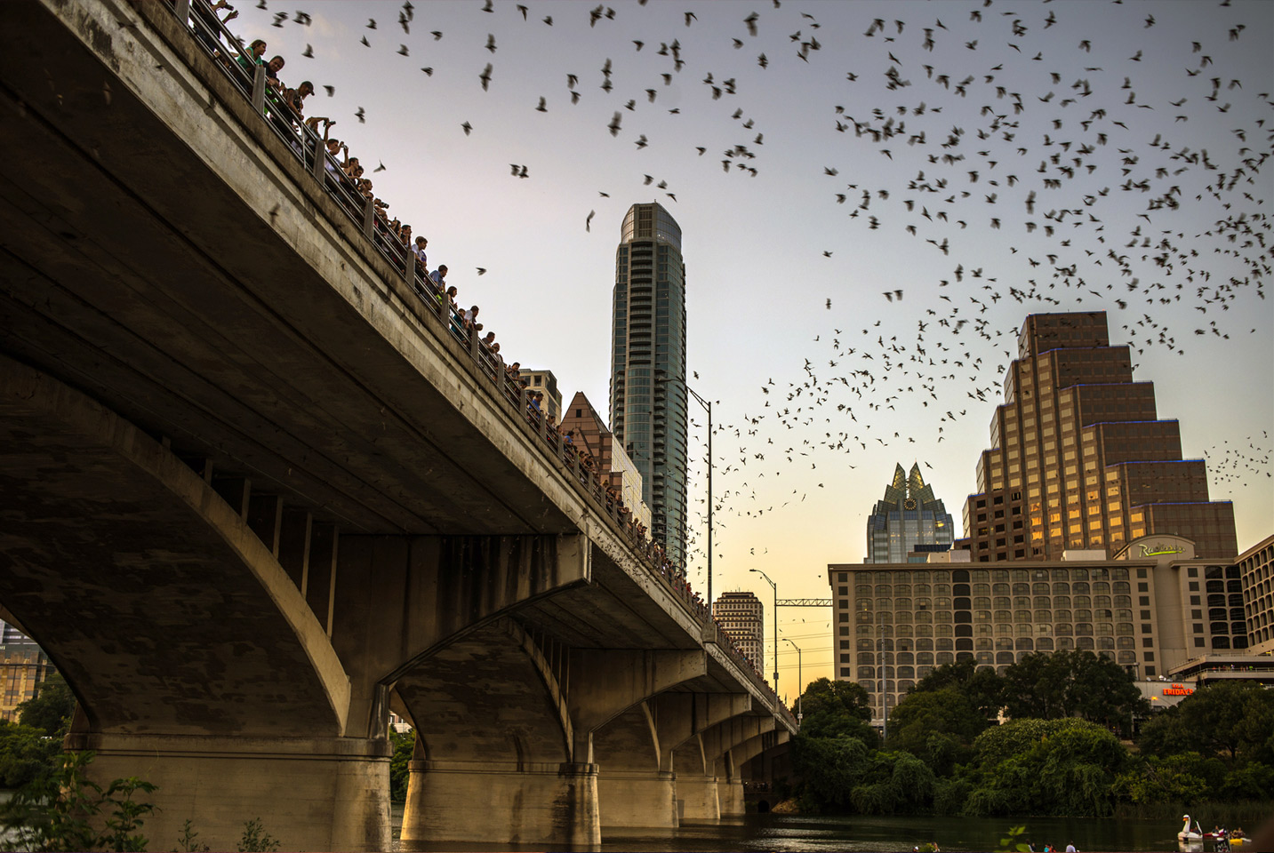 The Bat Bridge, Austin, TX